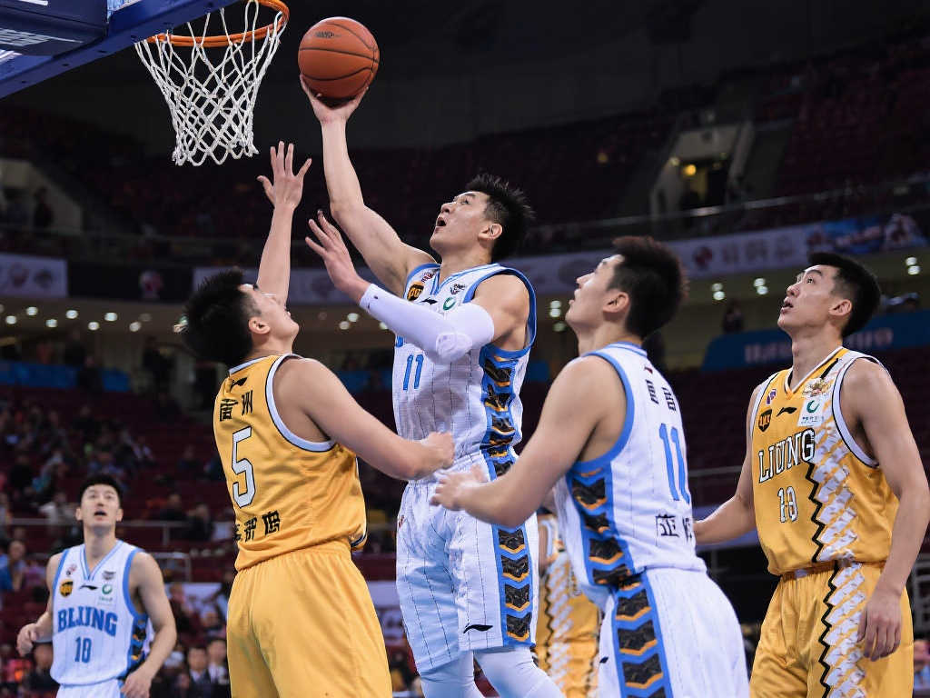 职业生涯的 职业生涯的