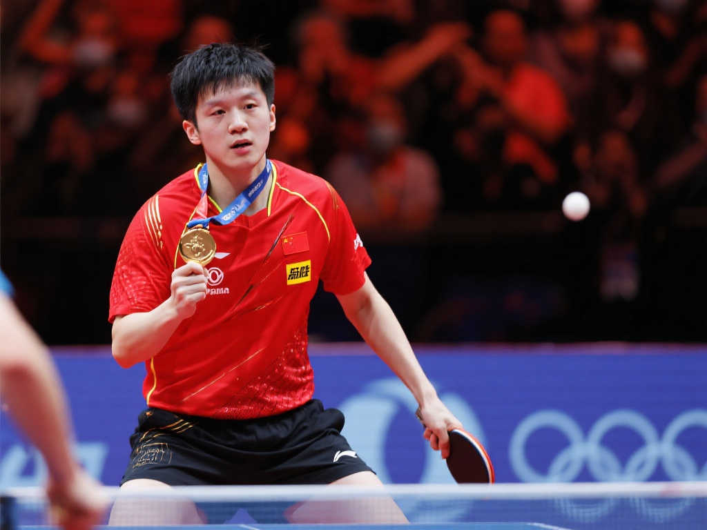 逐步完善了 逐步完善了