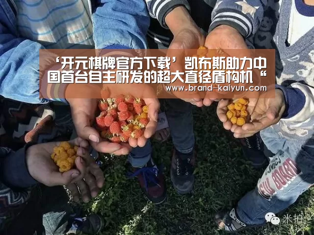 开元棋牌官方下载