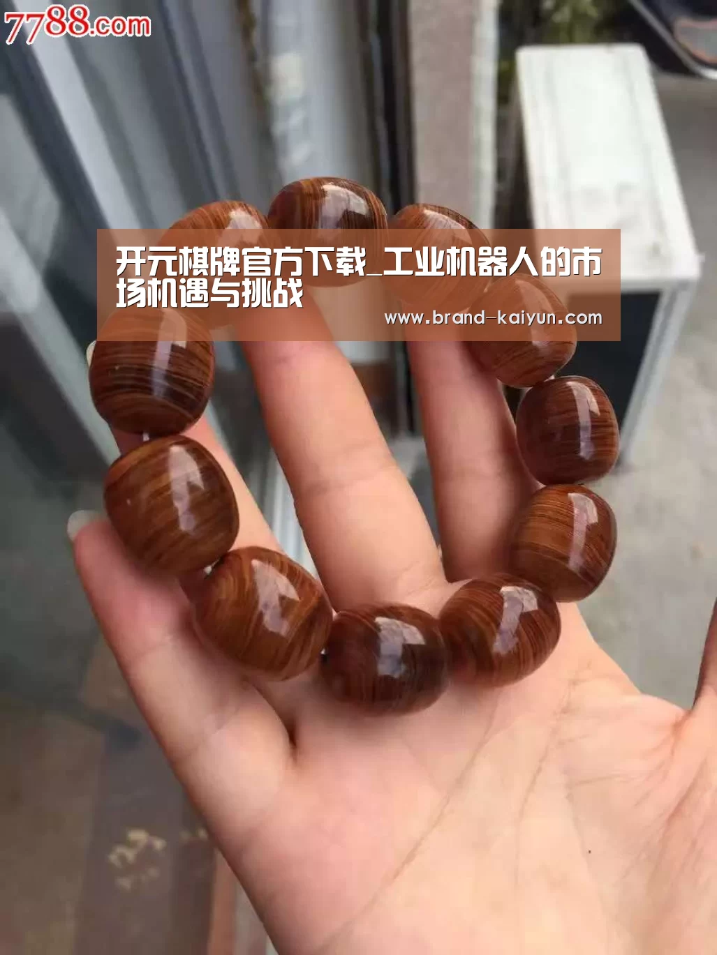 开元棋牌官方下载_工业机器人的市场机遇与挑战(图1)